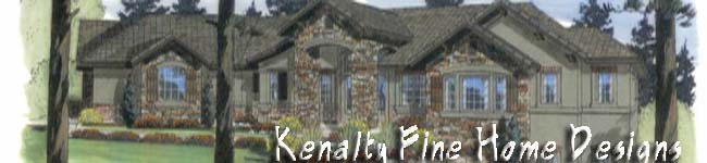 Color rendering of Hill Country style custom home - Riverside Home Designs portfolio